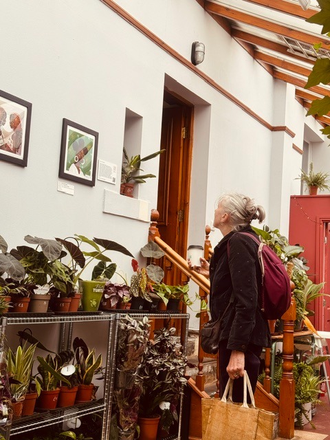 Saltaire Visitor Interaction